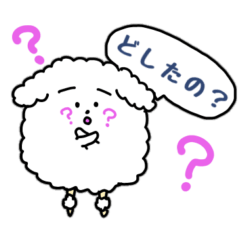 [LINEスタンプ] 問いかけるトイプードルのスタンプ