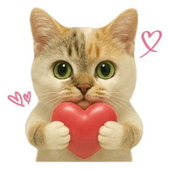 [LINEスタンプ] マダム語おしゃべりすっぴーさん