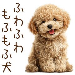 [LINEスタンプ] もふもふ☆トイプードル