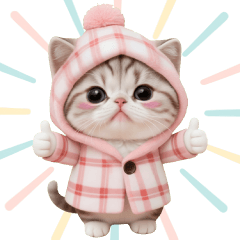 [LINEスタンプ] スコティッシュ猫 可愛いフーディー 冬