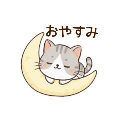[LINEスタンプ] もちねこの日常会話