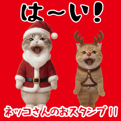 [LINEスタンプ] ネッコさんのおスタンプ11