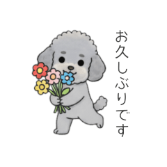 [LINEスタンプ] 使いやすい敬語のトイプードル②