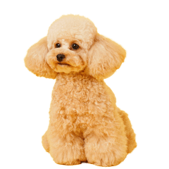 [LINEスタンプ] シリちゃんの可愛いスタンプです❕