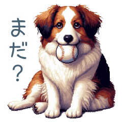 [LINEスタンプ] ちょっとぽっちゃりのコーイケルホンディエ