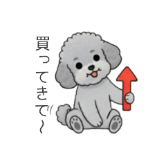 [LINEスタンプ] 家族で使いやすいトイプードル②