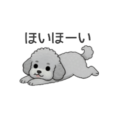 [LINEスタンプ] フランクな会話のトイプードル③(あいづち)