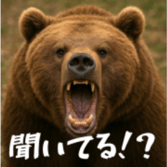 [LINEスタンプ] ワールドベアーズ6 受け答え編（日本語）