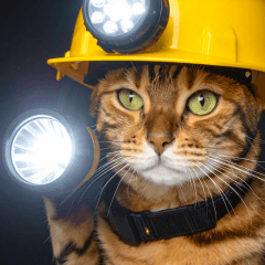 [LINEスタンプ] 地震で心配防災メッセージ