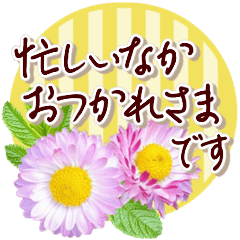[LINEスタンプ] 寒い時期の気遣い✿優しい大人ごあいさつ✿