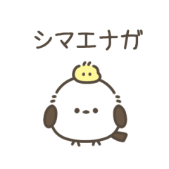 [LINEスタンプ] シマエナちゃん（毎日使える/シマエナガ）