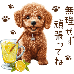 [LINEスタンプ] トイプードルのやさしい気づかい冬スタンプ