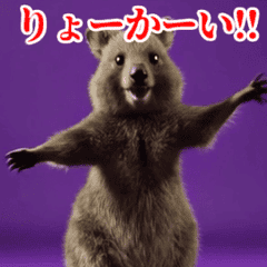 [LINEスタンプ] 激しく動く！うざいクアッカワラビー！