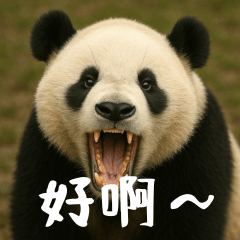 [LINEスタンプ] ワールドベアーズ6 日常編（台湾華語）