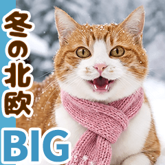 [LINEスタンプ] 冬の北欧＊茶白猫チャチャの暮らし