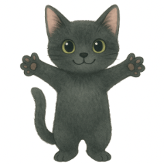 [LINEスタンプ] 黒猫さんの毎日スタンプ