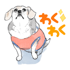 [LINEスタンプ] 白いおばあちゃんビーグルミノちゃん
