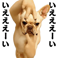 [LINEスタンプ] 踊る！横揺れ界隈/フレンチブルドック1