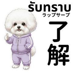 [LINEスタンプ] ビジョンフリーゼのタイ語と日本語会話