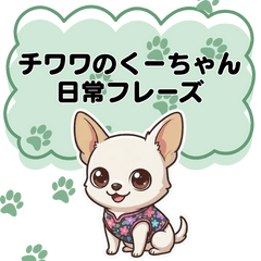 [LINEスタンプ] チワワのくーちゃん文字大きめスタンプ