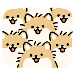[LINEスタンプ] かわいい圧力 ポメラニアン