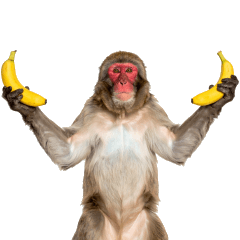 [LINEスタンプ] 感情ダダ漏れ日本猿の全力リアクション