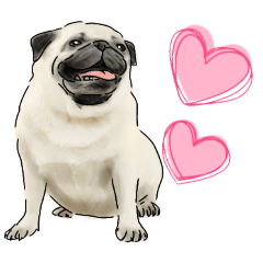 [LINEスタンプ] 毎日使えるパグ（相づち、リアクション）