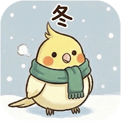 [LINEスタンプ] オカメインコ 冬