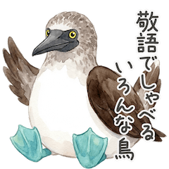 [LINEスタンプ] 敬語でしゃべるいろんな鳥