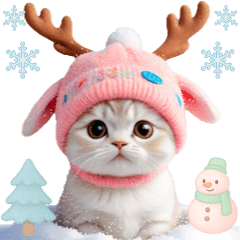 [LINEスタンプ] スコティッシュ猫 可愛いトナカイ帽 冬