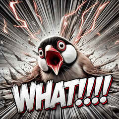 [LINEスタンプ] 文鳥無双！！