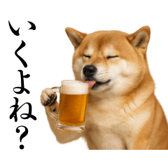 [LINEスタンプ] 酒呑みの柴犬【シュールな日常】