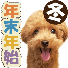 [LINEスタンプ] 冬♡年末年始(あけおめ) トイプードル 犬