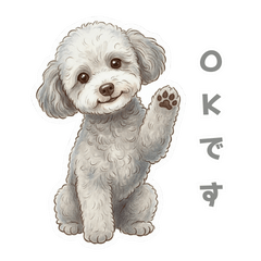 [LINEスタンプ] 「プードルのこまちゃん挨拶スタンプ」