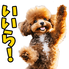 [LINEスタンプ] 静岡弁☆わんこ