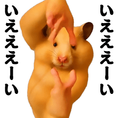 [LINEスタンプ] 踊る！横揺れ界隈キンクマハムスター1