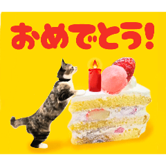 [LINEスタンプ] みんなのおうちねこ年末年始お祝いスタンプ