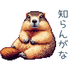 [LINEスタンプ] ちょっと強気なマーモット【面白い】