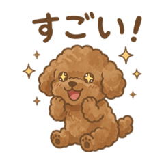 [LINEスタンプ] ゆるふわ癒し♪トイプードル