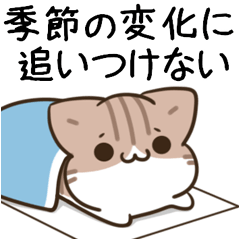 [LINEスタンプ] 毎日五月病なねこたち 季節の変わり目