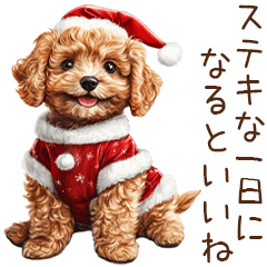 [LINEスタンプ] やさしいサンタトイプードルのクリスマス