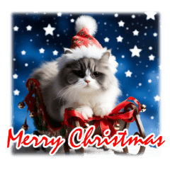[LINEスタンプ] 師走のにゃんこ♥年始もあり◎