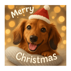 [LINEスタンプ] ハッピーらくちゃん♡クリスマス♡お正月♡