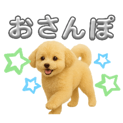 [LINEスタンプ] ポメプー(ポメラニアン×プードル)の毎日