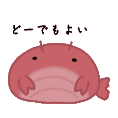 [LINEスタンプ] いせえびのゆるいスタンプ