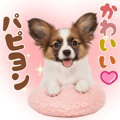 [LINEスタンプ] いつでも使える♡パピヨンのスタンプ