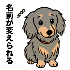 [LINEスタンプ] 名前入りダックスロングイザベラタン