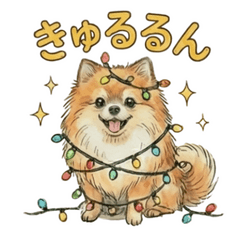 [LINEスタンプ] 【クリスマスもお正月も！】ほっこりポメち