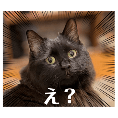 [LINEスタンプ] Renapyon4