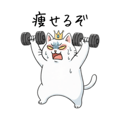 [LINEスタンプ] 王冠猫のチートデイ